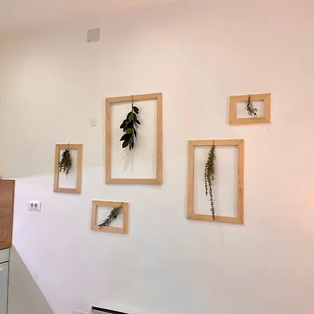 דירה Storia Parentina Center